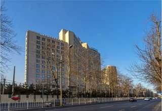 狗狗用宠物益生菌哪种见效快